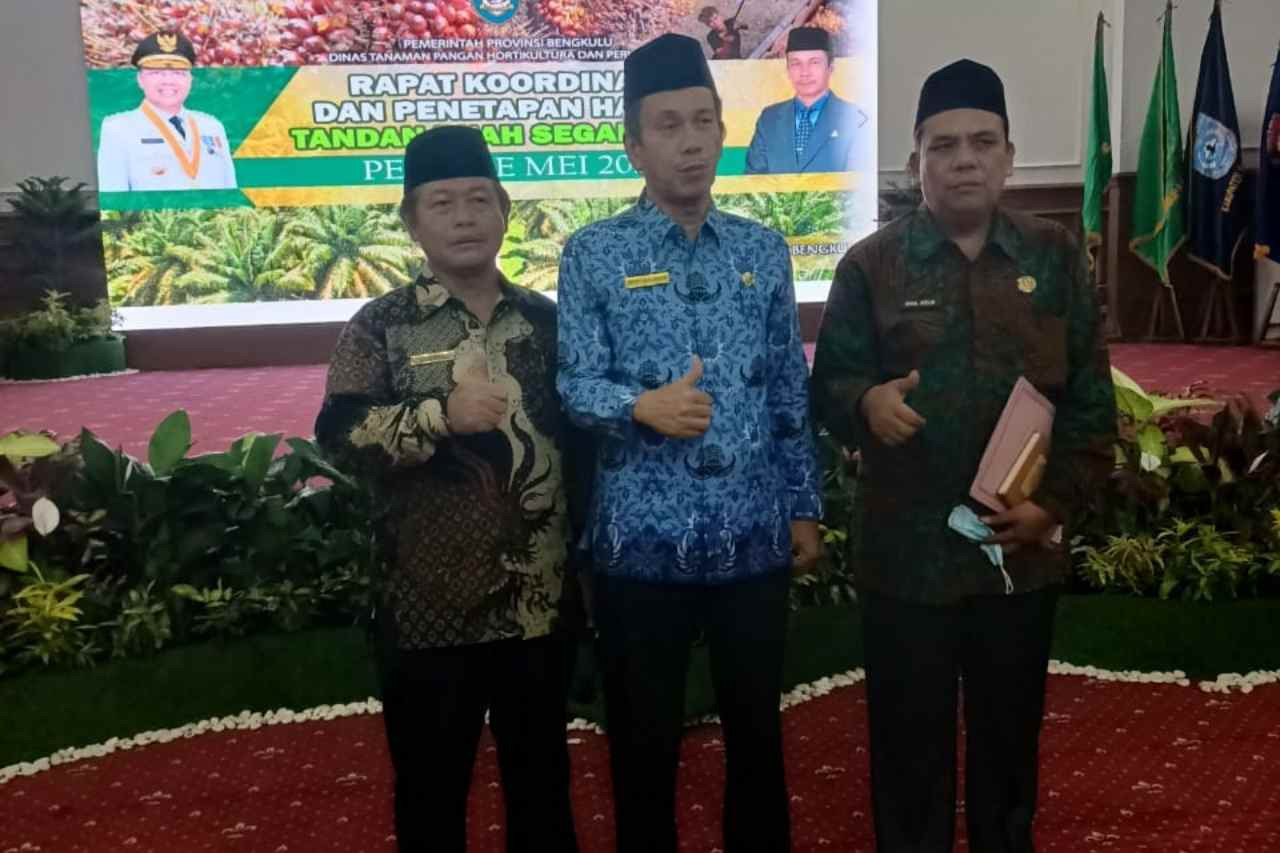Harga TBS Anjlok, Gubernur Surati Presiden