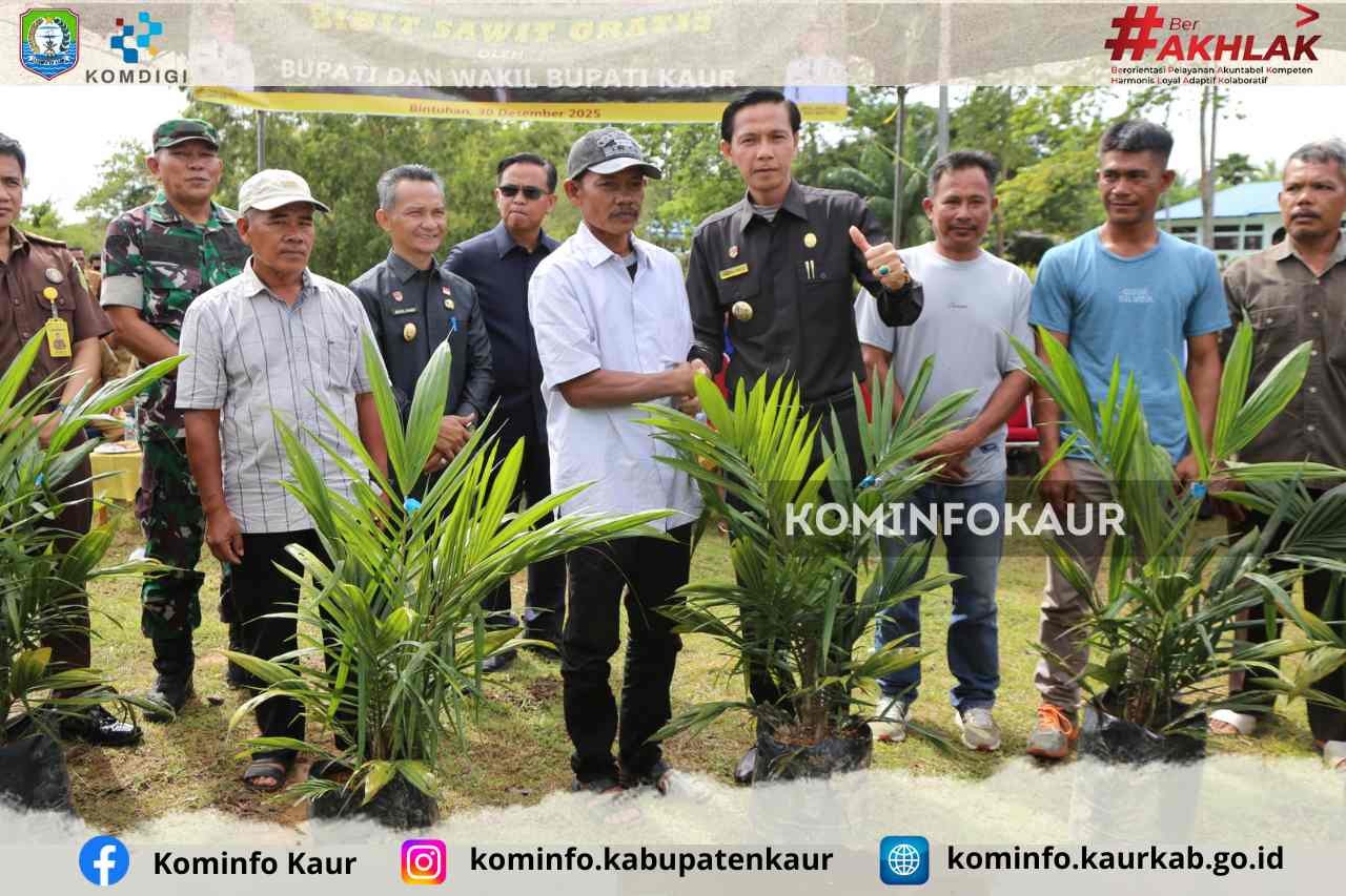 Program 1 Juta Bibit Sawit Mulai Direalisasikan, Bupati :  Meningkatkan Kesejahteraan  Masyarakat