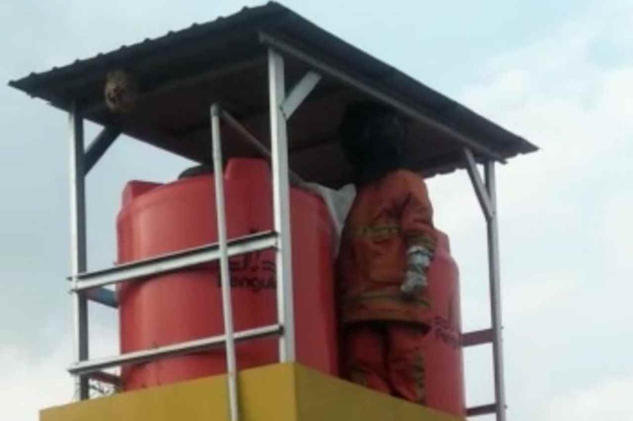 Meresahkan Warga, Damkar Evakuasi Sarang Tawon Vespa