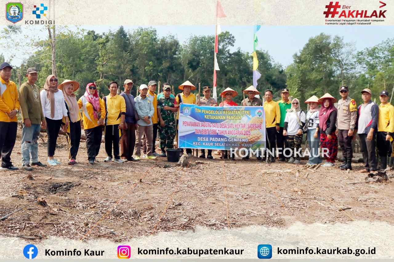 Dukung Program Ketahanan Pangan Kapolda dan Gubernur Bengkulu, Desa Padang Genteng Tanam Jagung 