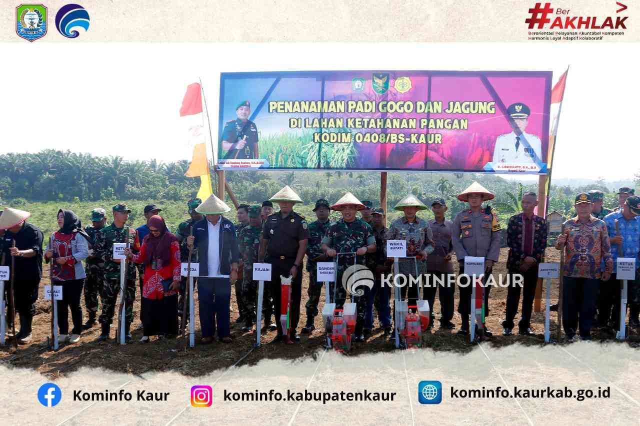 Program Ketahanan Pangan, Wabup Bersama Dandim Tanam Padi Gogo dan Jagung