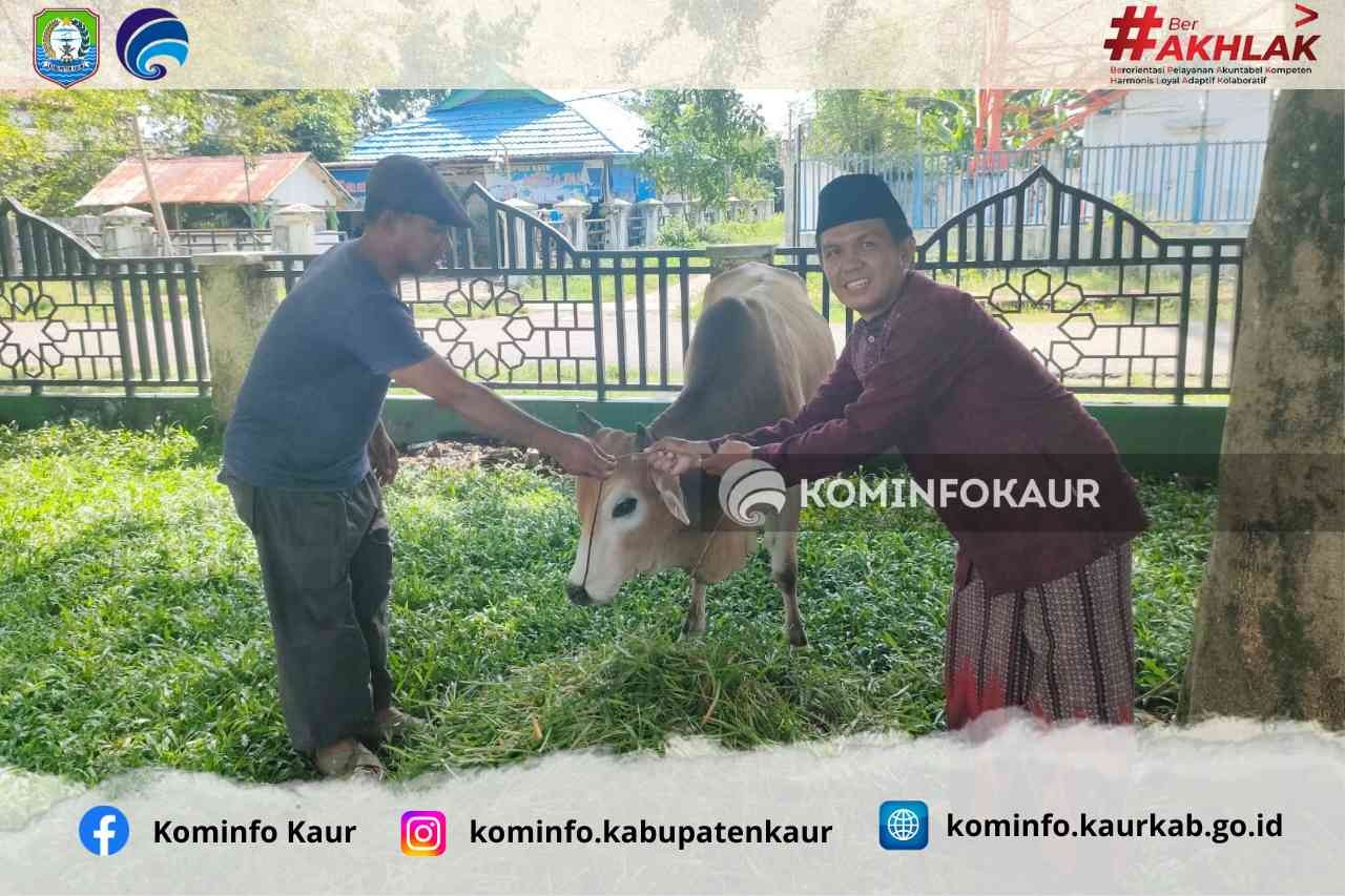 Bupati Lismidianto Serahkan Sapi Kurban  ke Masjid Agung Al-Kahfi